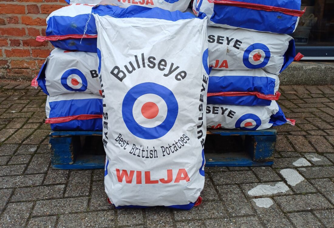 480930364_619816487470625_6182067288978514797_n